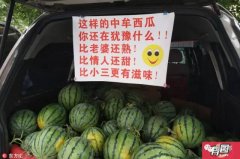  夏季营销好榜样：老王卖瓜套路深！ 